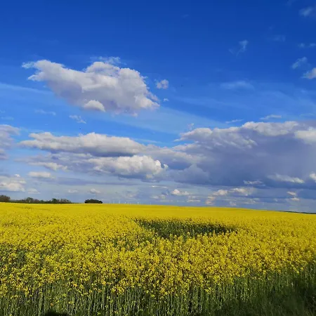Am Sternhagener * Lindenhagen
