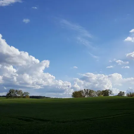 Am Sternhagener Lindenhagen