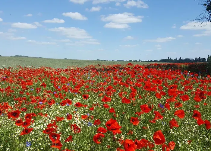 Appartement Am Sternhagener *