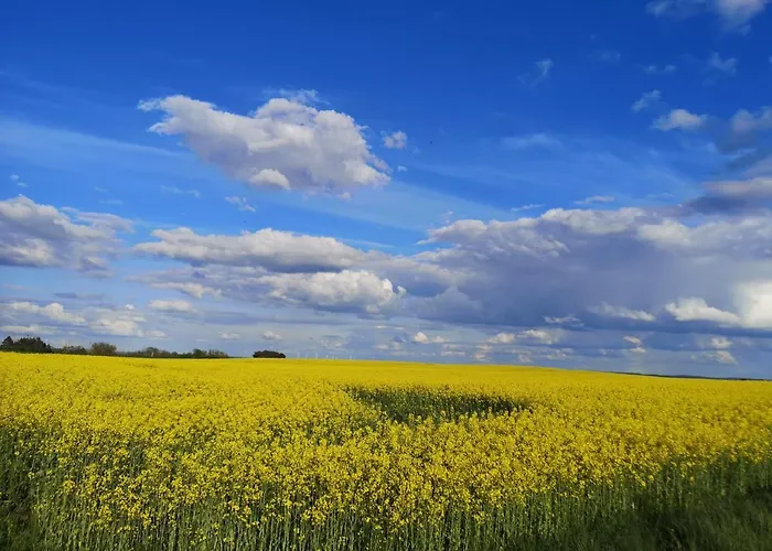 Am Sternhagener * Lindenhagen