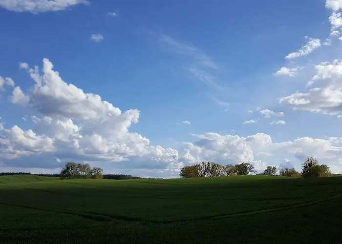 Am Sternhagener Lindenhagen